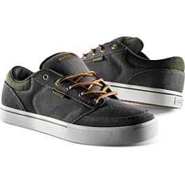etnies nathan williams shoes